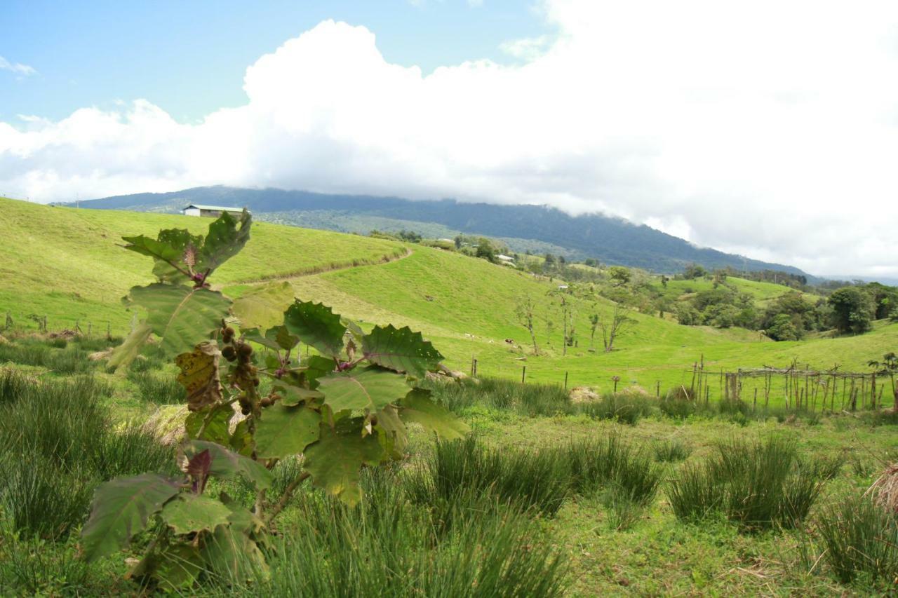 Casa Volcano Panoramic View Vara Blanca  Dış mekan fotoğraf